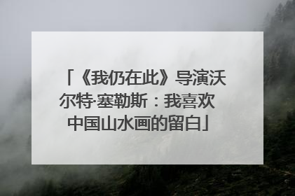 《我仍在此》导演沃尔特·塞勒斯：我喜欢中国山水画的留白