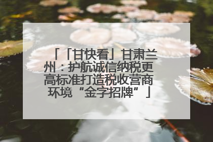 「甘快看」甘肃兰州：护航诚信纳税更高标准打造税收营商环境“金字招牌”