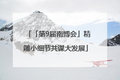 「第9届南博会」精雕小细节共谋大发展