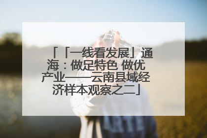 「一线看发展」通海：做足特色 做优产业——云南县域经济样本观察之二