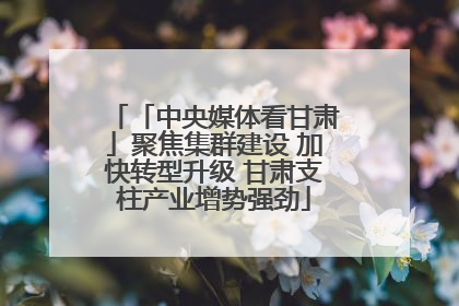 「中央媒体看甘肃」聚焦集群建设 加快转型升级 甘肃支柱产业增势强劲