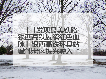 「发现最美铁路·银西高铁赓续红色血脉」银西高铁环县站赋能老区振兴驶入“快车道”
