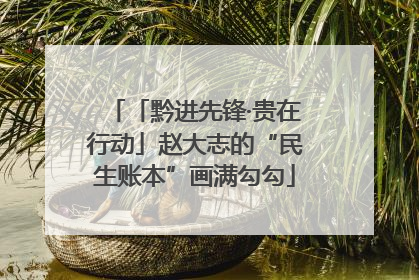 「黔进先锋·贵在行动」赵大志的“民生账本”画满勾勾