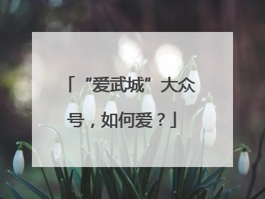 “爱武城”大众号，如何爱？