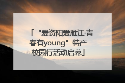 “爱资阳爱雁江·青春有young”特产校园行活动启幕