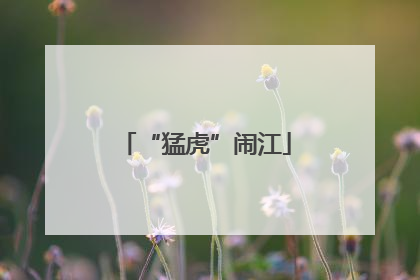 “猛虎”闹江