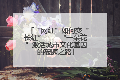“网红”如何变“长红”——“一朵花”激活城市文化基因的破题之路