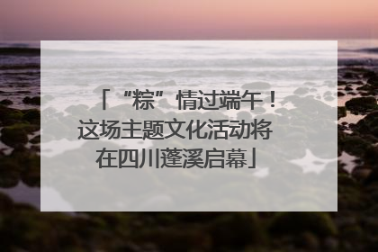 “粽”情过端午！这场主题文化活动将在四川蓬溪启幕