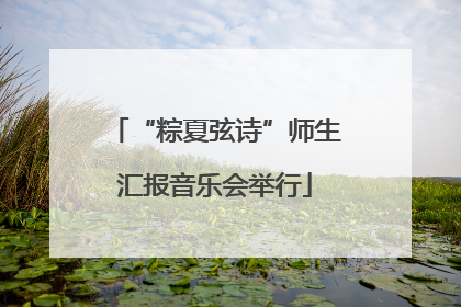 “粽夏弦诗”师生汇报音乐会举行