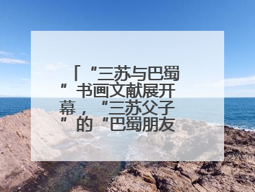 “三苏与巴蜀”书画文献展开幕，“三苏父子”的“巴蜀朋友圈”人物亮相