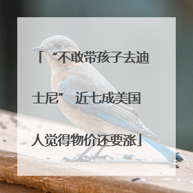 “不敢带孩子去迪士尼” 近七成美国人觉得物价还要涨