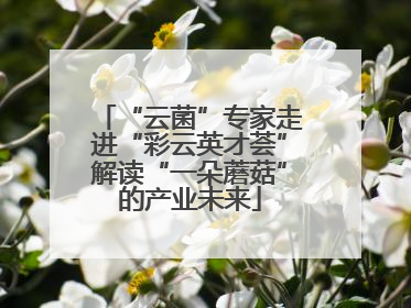 “云菌”专家走进“彩云英才荟”解读“一朵蘑菇”的产业未来