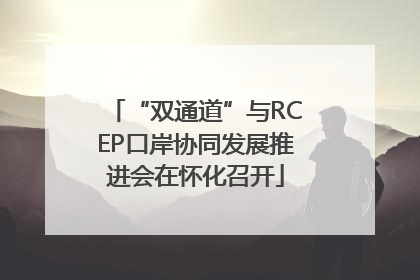 “双通道”与RCEP口岸协同发展推进会在怀化召开