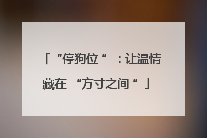 “停狗位 ”：让温情藏在 “方寸之间 ”