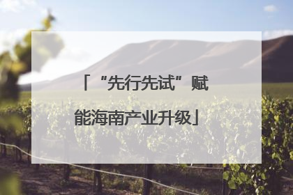 “先行先试”赋能海南产业升级