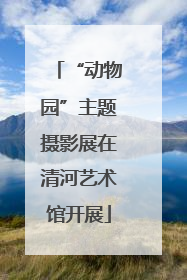 “动物园”主题摄影展在清河艺术馆开展