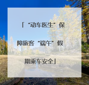 “动车医生”保障旅客“端午”假期乘车安全