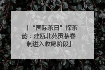 “国际茶日”探茶韵：建瓯北苑贡茶春制进入收尾阶段