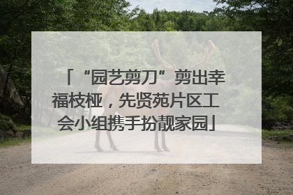 “园艺剪刀”剪出幸福枝桠，先贤苑片区工会小组携手扮靓家园