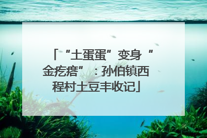 “土蛋蛋”变身“金疙瘩”：孙伯镇西程村土豆丰收记