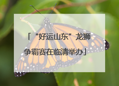 “好运山东”龙狮争霸赛在临清举办