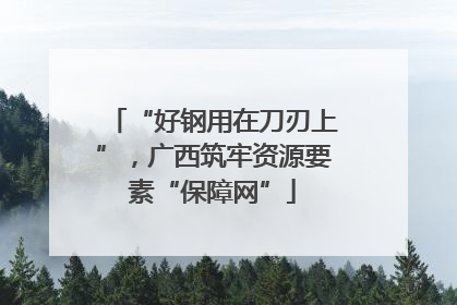 “好钢用在刀刃上”，广西筑牢资源要素“保障网”