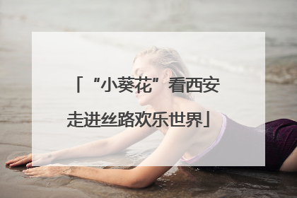 “小葵花”看西安走进丝路欢乐世界