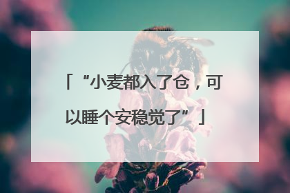 “小麦都入了仓，可以睡个安稳觉了”