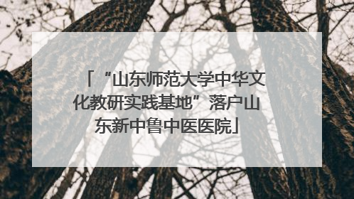 “山东师范大学中华文化教研实践基地”落户山东新中鲁中医医院