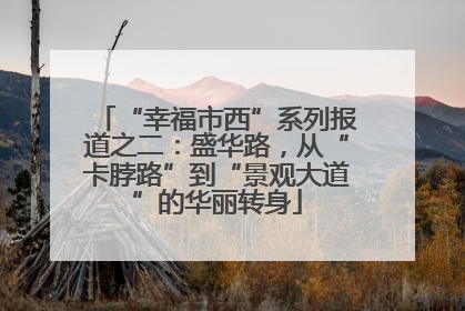 “幸福市西”系列报道之二：盛华路，从“卡脖路”到“景观大道”的华丽转身