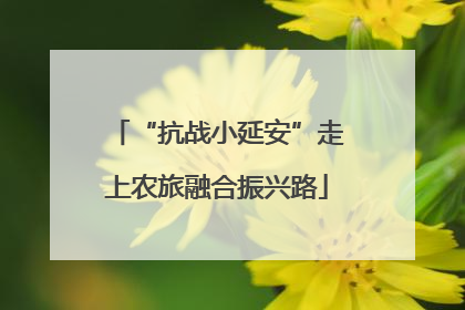 “抗战小延安”走上农旅融合振兴路