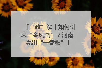 “政”解丨如何引来“金凤凰”？河南亮出“一盘棋”