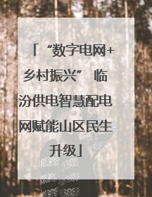 “数字电网+乡村振兴” 临汾供电智慧配电网赋能山区民生升级