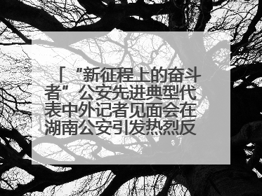 “新征程上的奋斗者”公安先进典型代表中外记者见面会在湖南公安引发热烈反响(二)