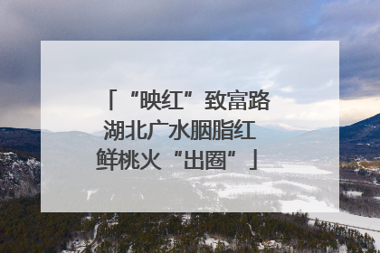 “映红”致富路 湖北广水胭脂红鲜桃火“出圈”