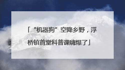 “机器狗”空降乡野，浮桥镇首堂科普课嗨爆了