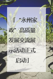 “永州家政”高质量发展交流展示活动正式启动