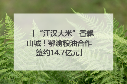 “江汉大米”香飘山城！鄂渝粮油合作签约14.7亿元