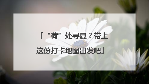 “荷”处寻夏？带上这份打卡地图出发吧