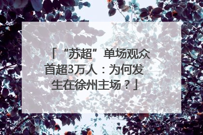“苏超”单场观众首超3万人：为何发生在徐州主场？