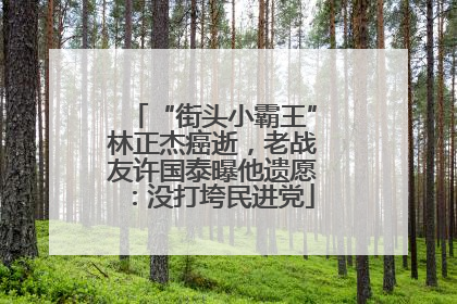 “街头小霸王”林正杰癌逝，老战友许国泰曝他遗愿：没打垮民进党