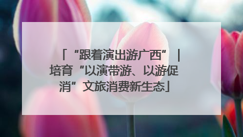 “跟着演出游广西”｜培育“以演带游、以游促消”文旅消费新生态