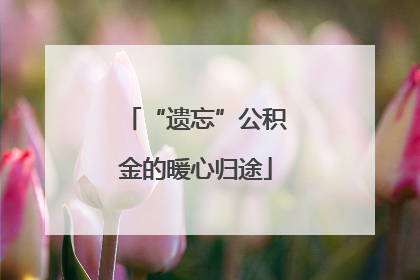 “遗忘”公积金的暖心归途