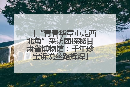 “青春华章重走西北角”采访团探秘甘肃省博物馆：千年珍宝诉说丝路辉煌