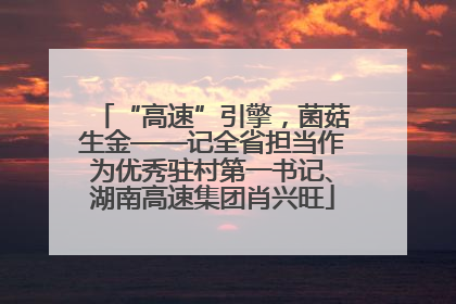 “高速”引擎，菌菇生金——记全省担当作为优秀驻村第一书记、湖南高速集团肖兴旺