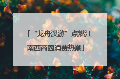 “龙舟溪游”点燃江南西商圈消费热潮