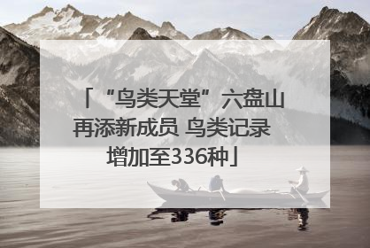 “鸟类天堂”六盘山再添新成员 鸟类记录增加至336种