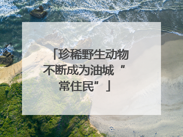 珍稀野生动物不断成为油城“常住民”