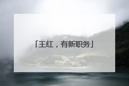 王红，有新职务