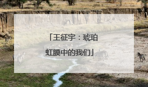 王征宇：琥珀虹膜中的我们